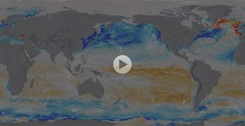 ECCO2-Darwin ocean carbon cycle model image